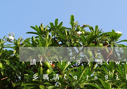 請(qǐng)問(wèn)信用卡逾期的多嗎（請(qǐng)問(wèn)信用卡逾期的多嗎）