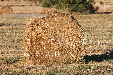 請(qǐng)問(wèn)勞動(dòng)法過(guò)年可以辭退員工嗎(勞動(dòng)法員工合同期滿可以辭退嗎)