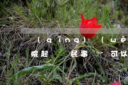 請(qǐng)問(wèn)可以直接向法院起訴嗎(民事糾紛可以直接在法院起訴嗎)