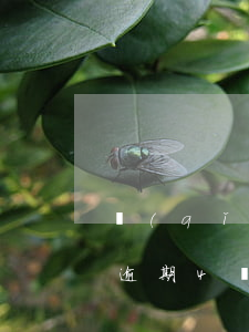 請(qǐng)問(wèn)律師我信用卡逾期4個(gè)月了(信用卡2個(gè)月逾期后果)