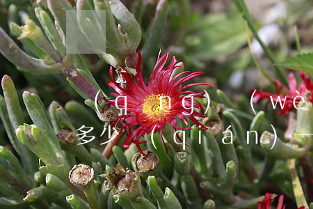 請(qǐng)問(wèn)打離婚官司要多少錢(qián)(一般離婚官司收費(fèi)標(biāo)準(zhǔn))