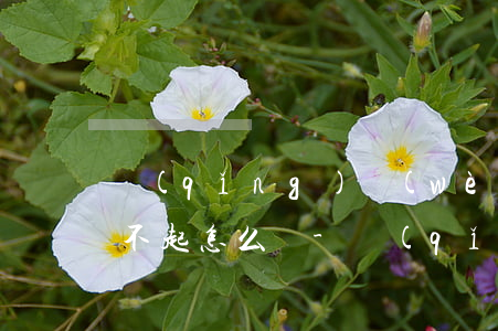 請(qǐng)問(wèn)欠信用卡錢還不起怎么辦-請(qǐng)問(wèn)欠信用卡錢還不起怎么辦呢