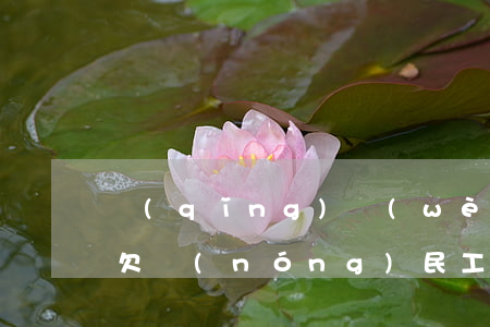 請(qǐng)問(wèn)法律上可以拖欠農(nóng)民工工資嗎