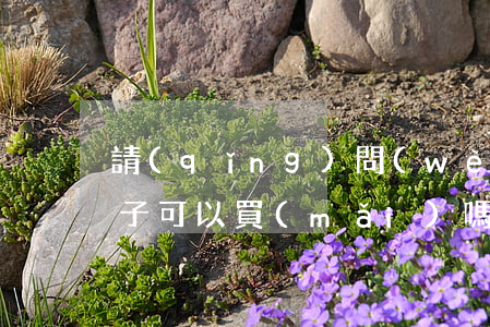 請(qǐng)問(wèn)法院封掉的房子可以買(mǎi)嗎(房子被法院封了怎么辦)