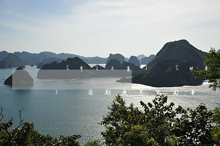 請(qǐng)問(wèn)網(wǎng)貸逾期是怎么回事(請(qǐng)問(wèn)網(wǎng)貸逾期是怎么回事)