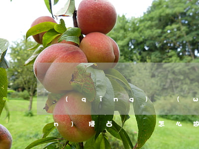 請(qǐng)問(wèn)遺產(chǎn)侵占訴訟怎么做(遺產(chǎn)侵占罪案例)