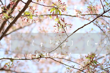請(qǐng)問(wèn)離婚第一步走什么程序(請(qǐng)問(wèn)離婚第一步走什么程序)