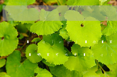 請(qǐng)問你這里可以提供法律援助嗎(哪里可以申請(qǐng)法律援助)