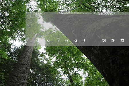 請(qǐng)問可以向派出所借錢嗎