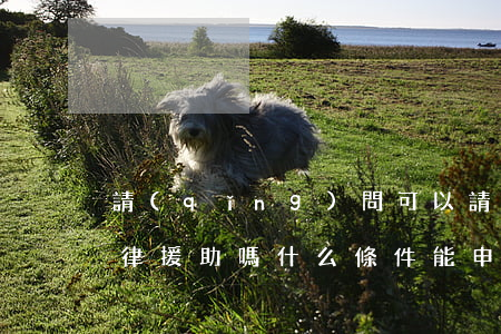請(qǐng)問可以請(qǐng)求法律援助嗎(什么條件能申請(qǐng)法律援助)