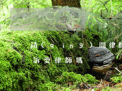 請(qǐng)問律師這樣可以起訴他嗎(起訴要律師嗎)
