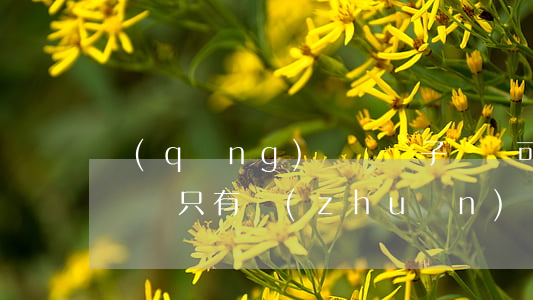 請(qǐng)問憑電子憑證可以向法院起訴嗎(只有轉(zhuǎn)賬憑證可以起訴嗎)