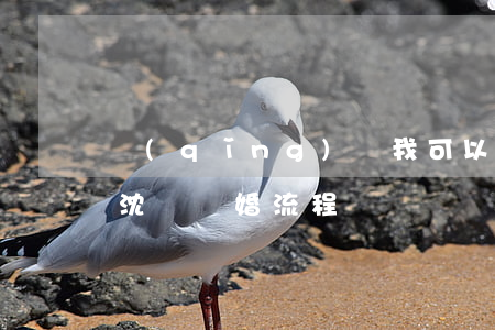 請(qǐng)問我可以在沈陽訴訟離婚嗎(沈陽離婚流程)