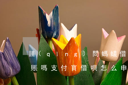 請(qǐng)問螞蟻借唄逾期可以停息掛賬嗎(支付寶借唄怎么申請(qǐng)停息掛賬)