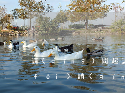 請(qǐng)問起訴離婚要多少起訴費(fèi)(請(qǐng)問起訴離婚要多少起訴費(fèi))