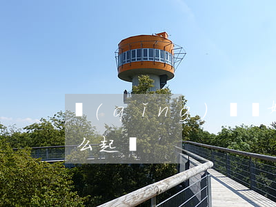 請(qǐng)問離婚起訴怎么辦理(離婚怎么起訴)