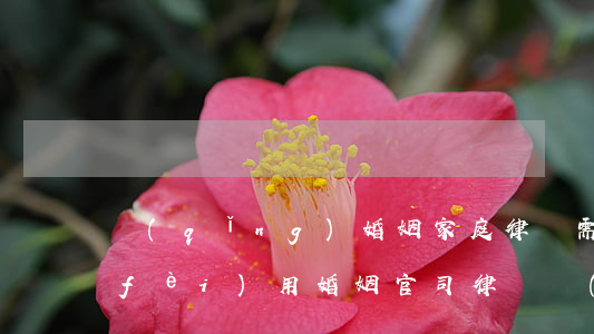 請(qǐng)婚姻家庭律師需要多少費(fèi)用(婚姻官司律師費(fèi)多少錢)