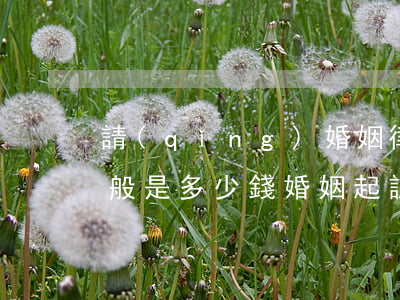 請(qǐng)婚姻律師費(fèi)用一般是多少錢(婚姻起訴律師費(fèi)是多少)