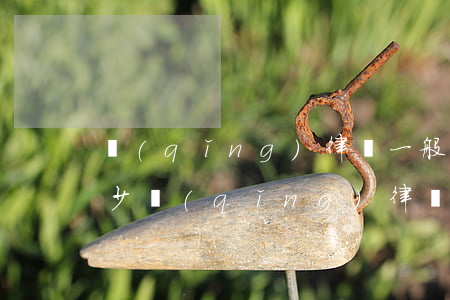 請(qǐng)律師一般費(fèi)用多少(請(qǐng)律師一般費(fèi)用多少錢)