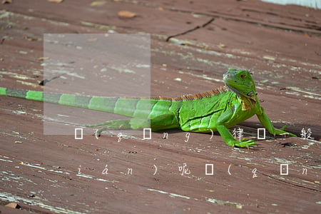 請(qǐng)律師一般需要花多少錢(qián)呢(請(qǐng)律師需要多少費(fèi)用)