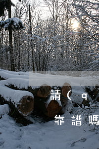 請(qǐng)律師事務(wù)所打官司靠譜嗎(打官司找律師有用嗎)