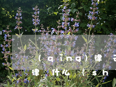 請(qǐng)律師去可以看到那些口供嗎(律師什么時(shí)候可以看到口供)