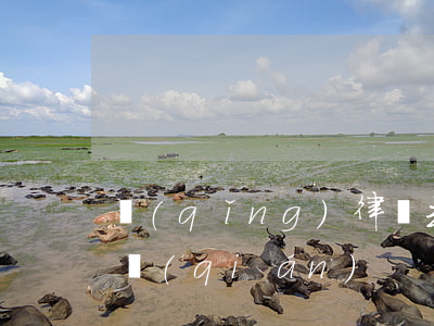 請(qǐng)律師去看守所看人一次多少錢(qián)