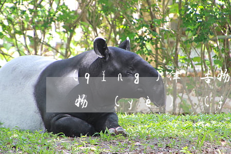 請(qǐng)律師告物業(yè)要多少錢(物業(yè)費(fèi)案件律師費(fèi)一般多少錢)