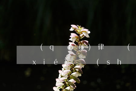 請(qǐng)律師寫(xiě)離婚協(xié)議書(shū)多少錢(qián)(律師幫寫(xiě)離婚協(xié)議要多少錢(qián))