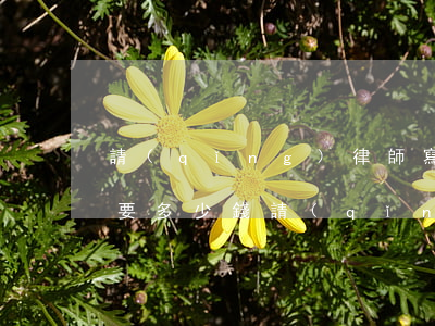 請(qǐng)律師寫一個(gè)合同需要多少錢(請(qǐng)個(gè)律師寫個(gè)合同大約多少錢)