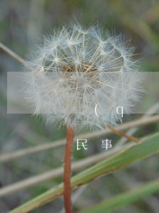 請(qǐng)律師寫訴訟狀多少錢(律師寫民事訴訟狀要多少錢)