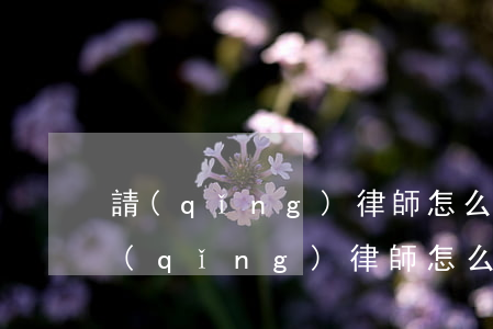 請(qǐng)律師怎么請(qǐng)(請(qǐng)律師怎么請(qǐng))