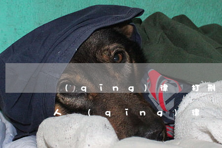 請(qǐng)律師打刑事案件要多少錢(打人請(qǐng)律師需要多少錢)