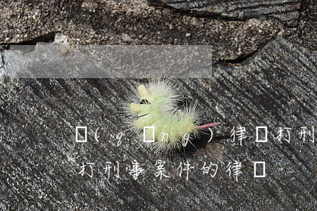 請(qǐng)律師打刑事案件要多少錢(能打刑事案件的律師)