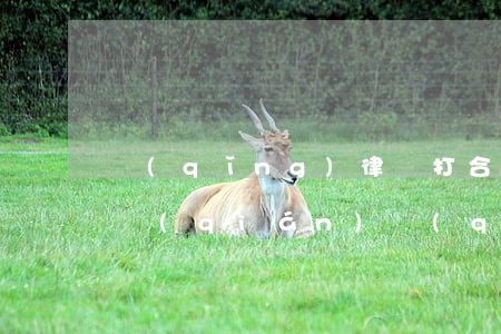 請(qǐng)律師打合同糾紛官司要多少錢(qián)(請(qǐng)律師打合同糾紛官司要多少錢(qián))