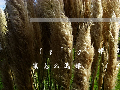 請(qǐng)律師打官司沒(méi)立案怎么退律師費(fèi)(請(qǐng)律師打官司沒(méi)立案怎么退律師費(fèi))