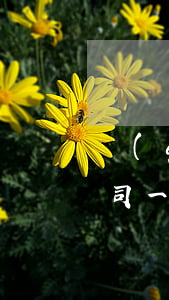 請(qǐng)律師打官司要花多少錢(打官司一定要請(qǐng)律師如何收費(fèi)標(biāo)準(zhǔn))
