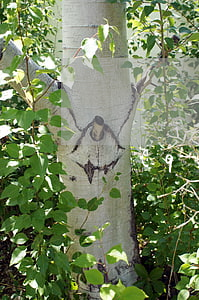 請(qǐng)律師打離婚要多少錢