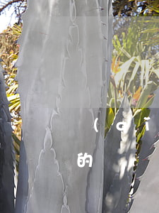 請(qǐng)律師是怎么付費(fèi)的