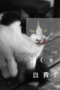 請(qǐng)律師查詢對(duì)方信息費(fèi)用是多少(律師可查對(duì)方信息嗎)