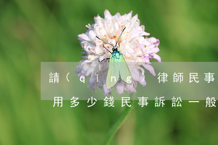 請(qǐng)律師民事訴訟費(fèi)用多少錢(民事訴訟一般律師費(fèi)多少)