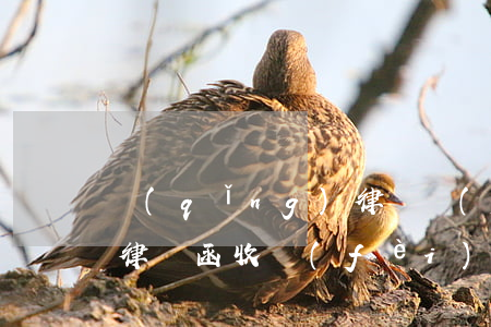 請(qǐng)律師發(fā)個(gè)律師函收費(fèi)多少(讓律師發(fā)律師函收費(fèi)嗎)