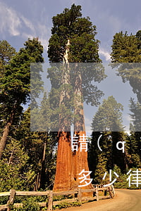 請(qǐng)律師的費(fèi)用一般多少(律師費(fèi)怎么算)