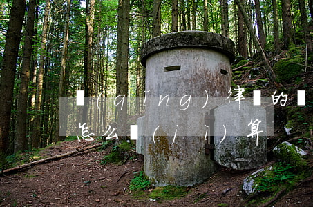 請(qǐng)律師的費(fèi)用一般怎么計(jì)算