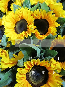 請(qǐng)律師要工資收費(fèi)要多少(一般請(qǐng)律師費(fèi)用多少)