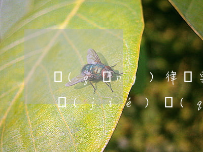 請(qǐng)律師要注意什么細(xì)節(jié)(請(qǐng)律師的注意事項(xiàng))
