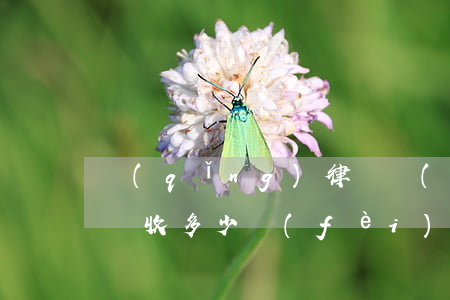 請(qǐng)律師調(diào)取身份證收多少費(fèi)(律師幫忙調(diào)取身份證信息要多少錢(qián))