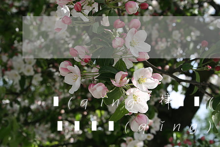 請(qǐng)律師費(fèi)用多少(2萬塊錢請(qǐng)律師費(fèi)用多少)