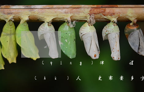 請(qǐng)律師辦理監(jiān)護(hù)人變更需要多少錢(申請(qǐng)變更監(jiān)護(hù)人需要多久)