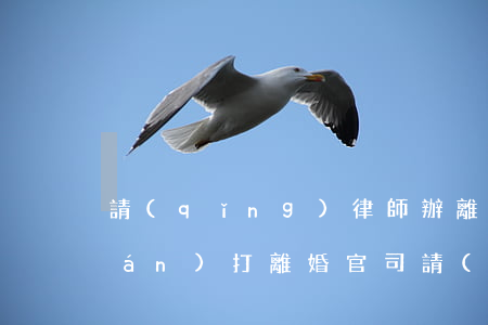請(qǐng)律師辦離婚要幾多錢(qián)(打離婚官司請(qǐng)律師要多少錢(qián))